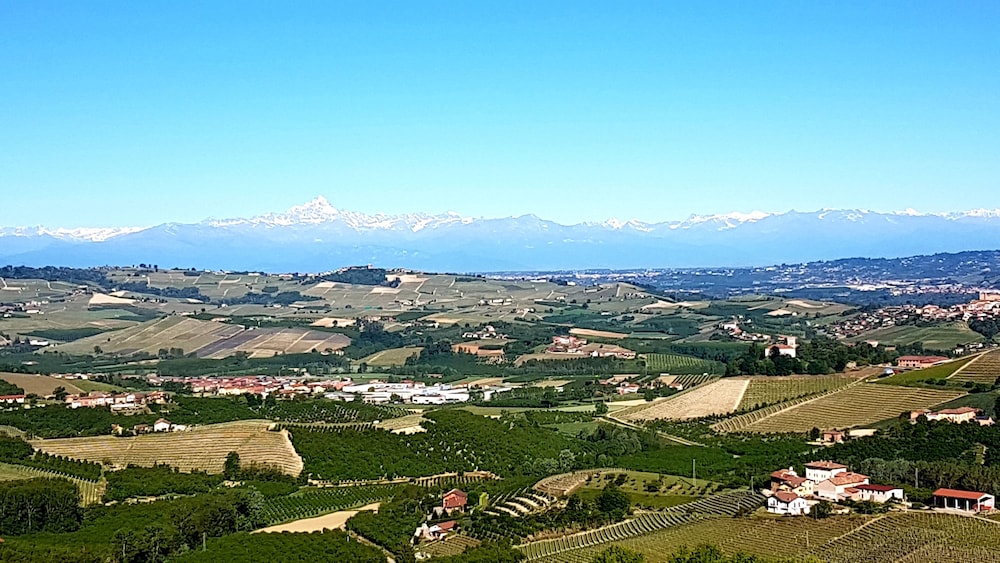 Villa Bellavista Alba