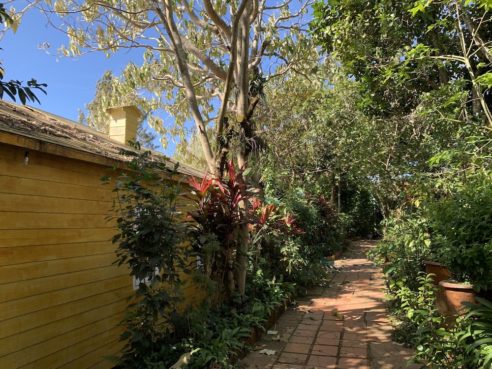 Vuon Thuong House view 3