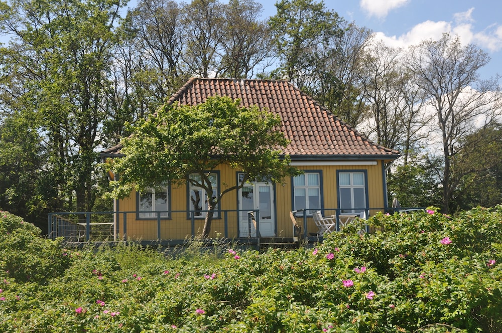 Photo 41