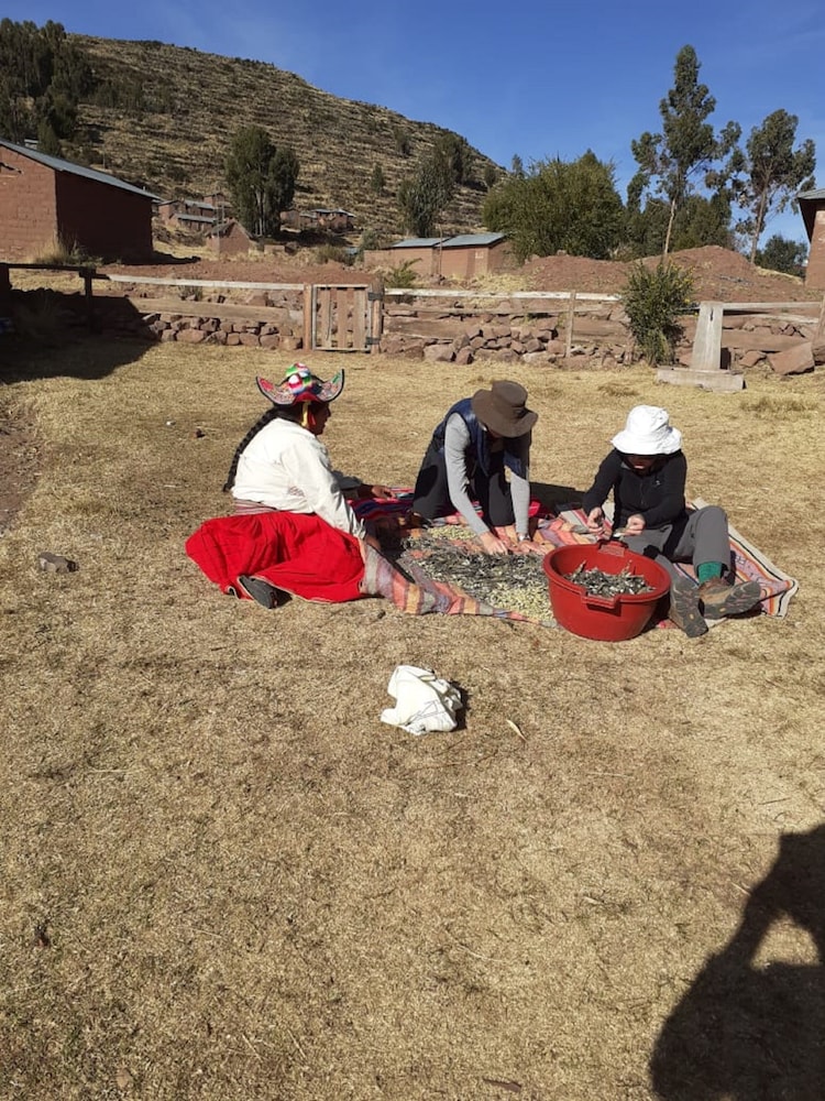 Photo 14