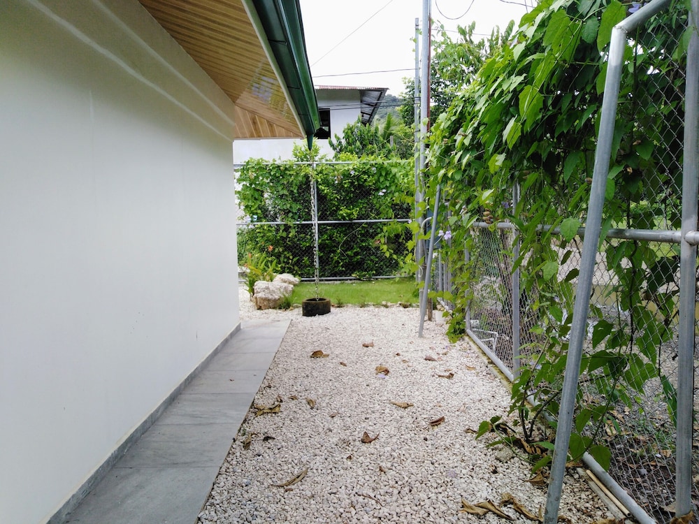 Photo 29