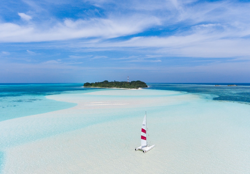 Olive Goidhoo