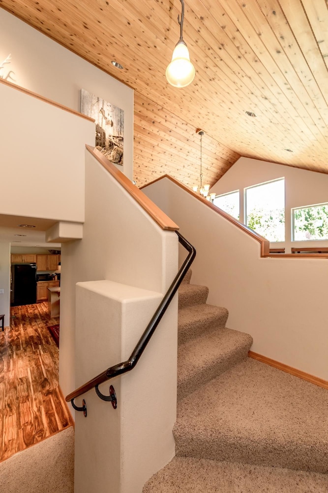 The Cabin