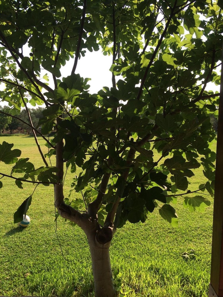 Tenuta Annibale