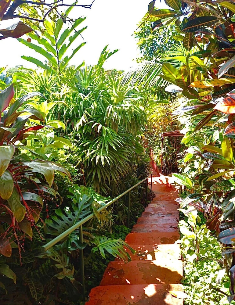 Eden Atenas