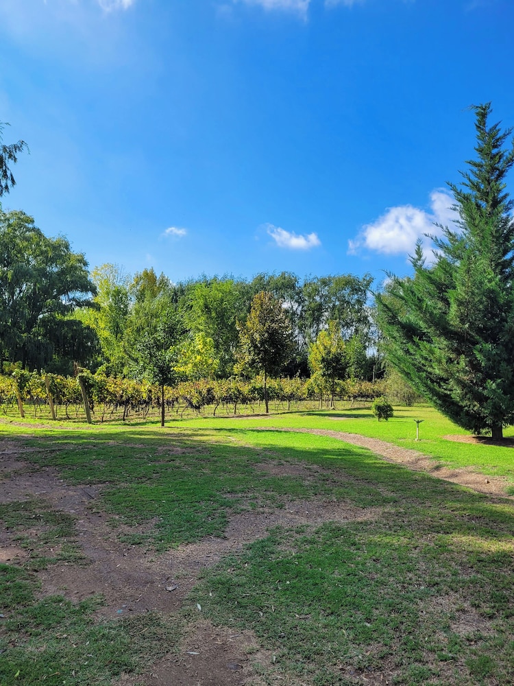 Finca La Saucina