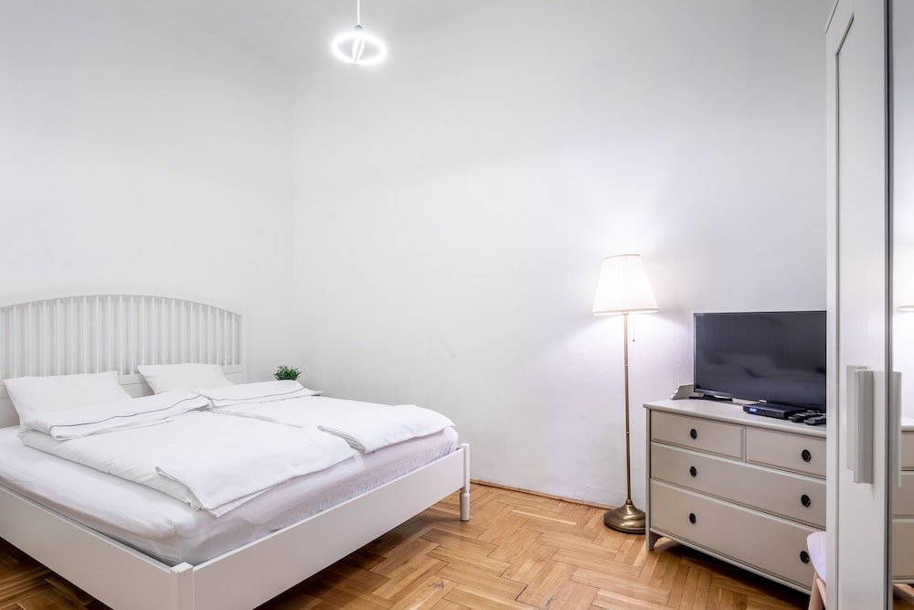 Huge Apartment in the city center view 5