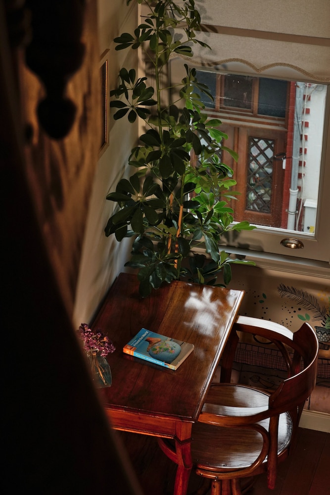 Tilas House No8 - Yurt - Image 23