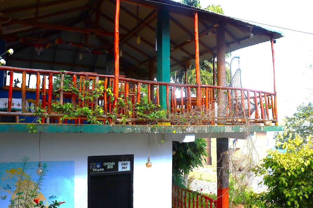 Hill Forest Cottage