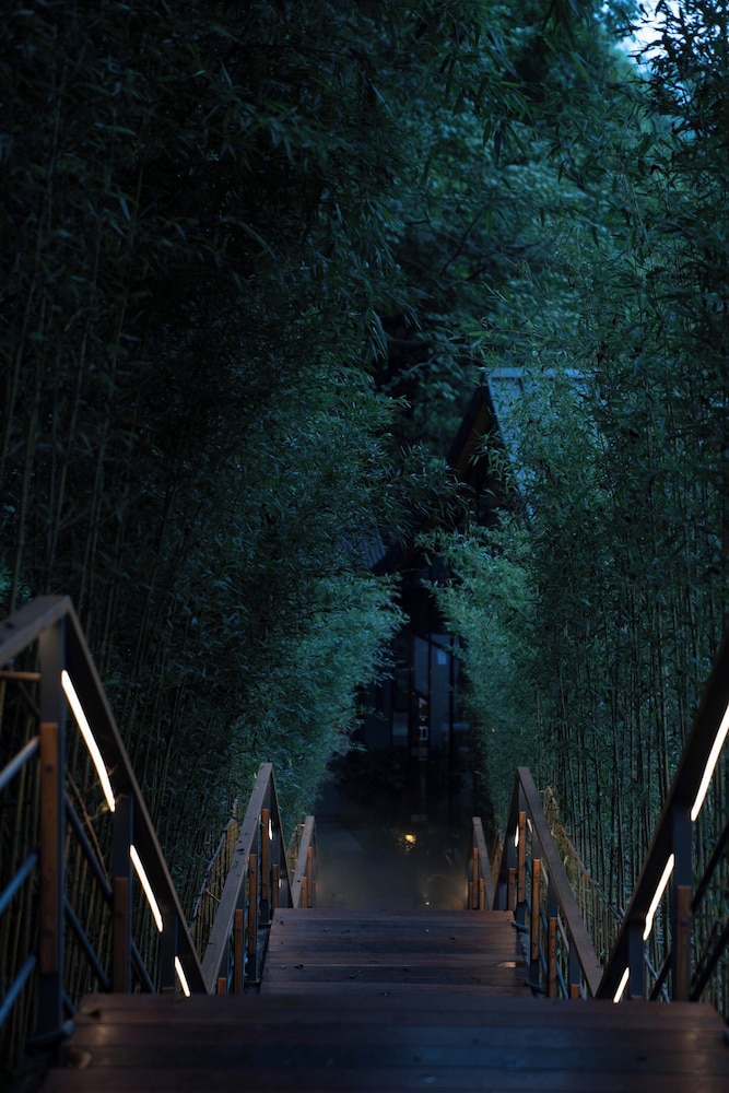 Verdant Haven