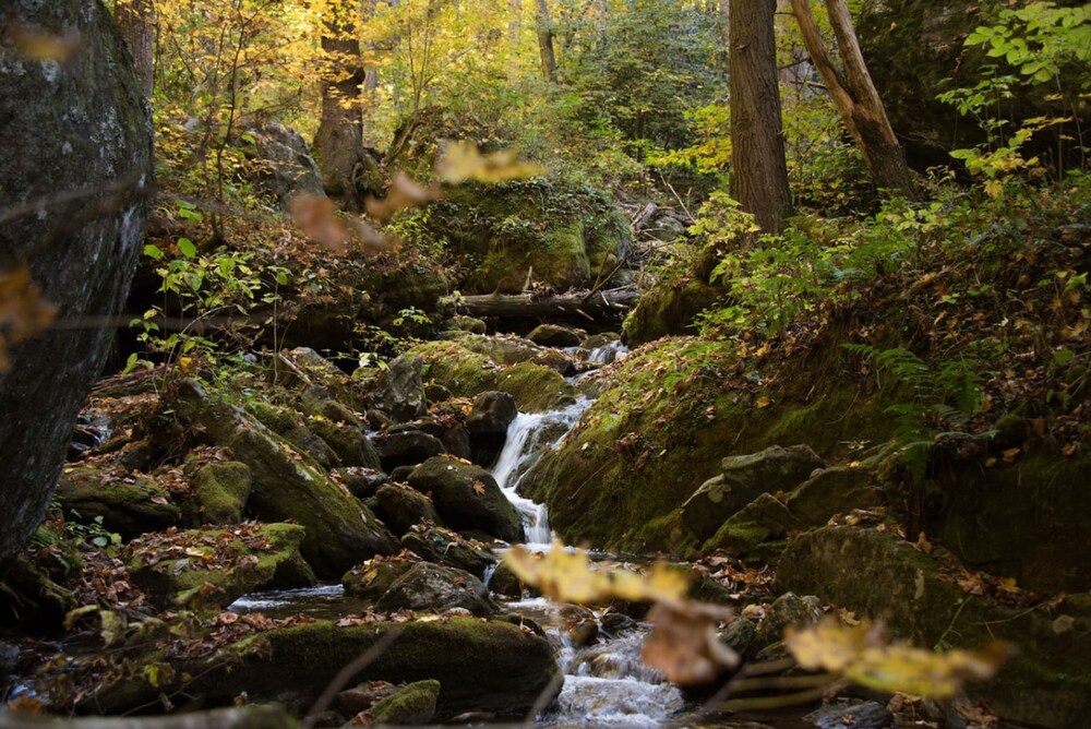 Rejuvenate in the Mtns w Sauna 5 min Drive to DT