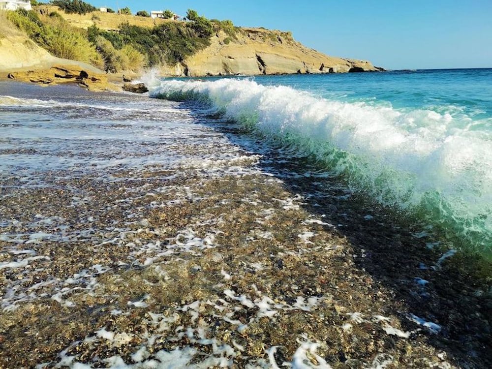 Apartments With Garden View2 photo 5