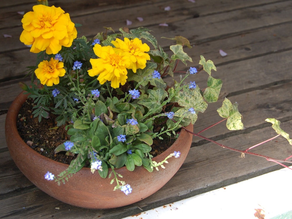 Photo 41