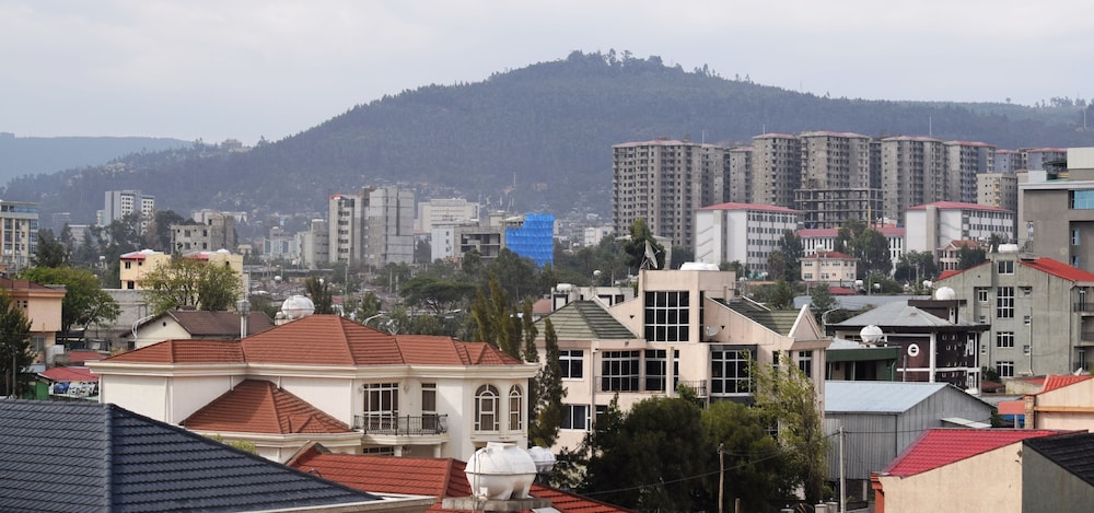 Olympia Guest House view 5