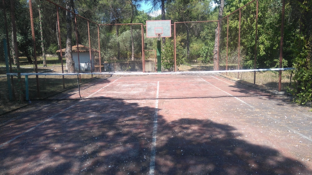 Photo 17