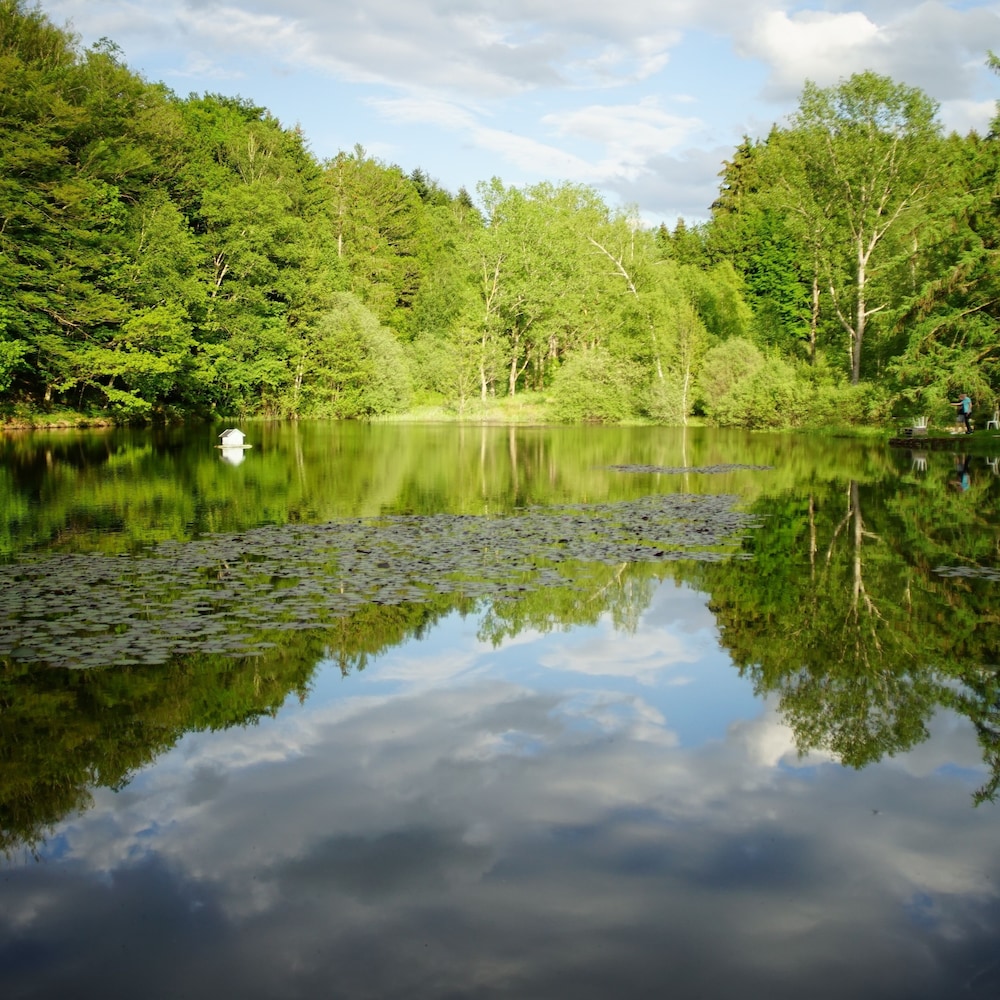 Les gîtes insolites de l'etang d'Anty view 4