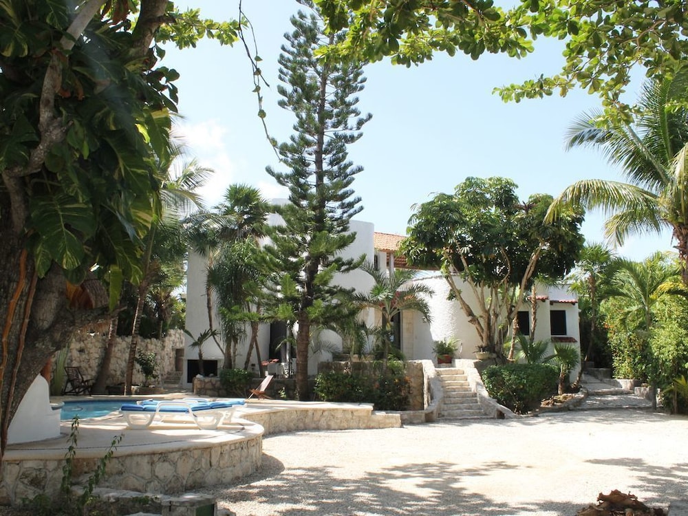 Photo 8