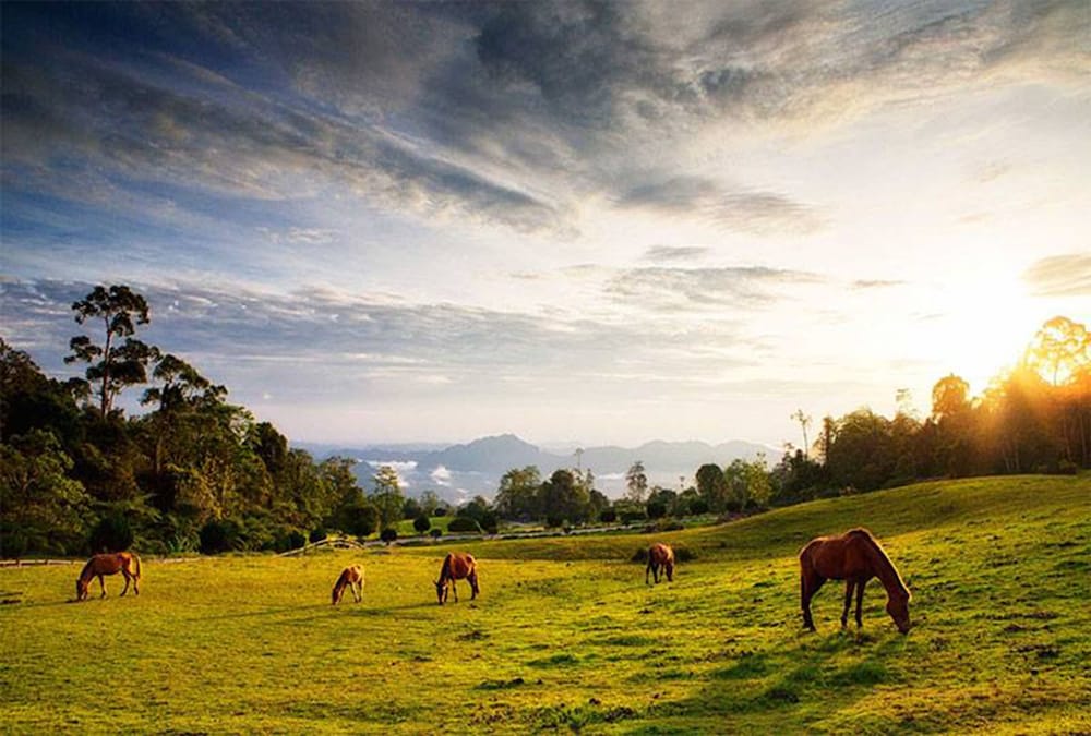 Borneo Highlands Resort