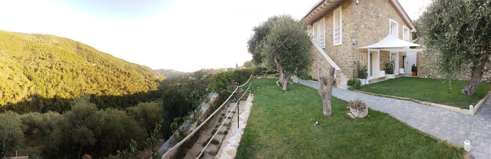 Photo 43
