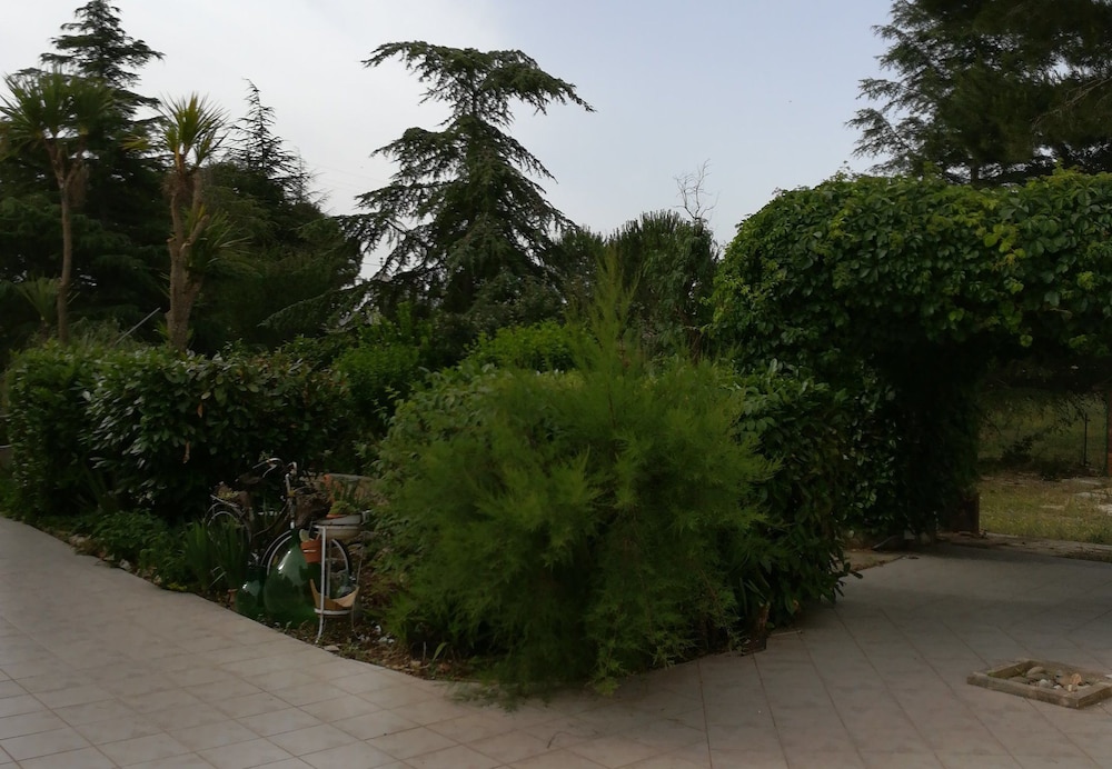 Photo 42