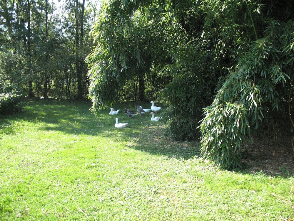 Campo di Cielo
