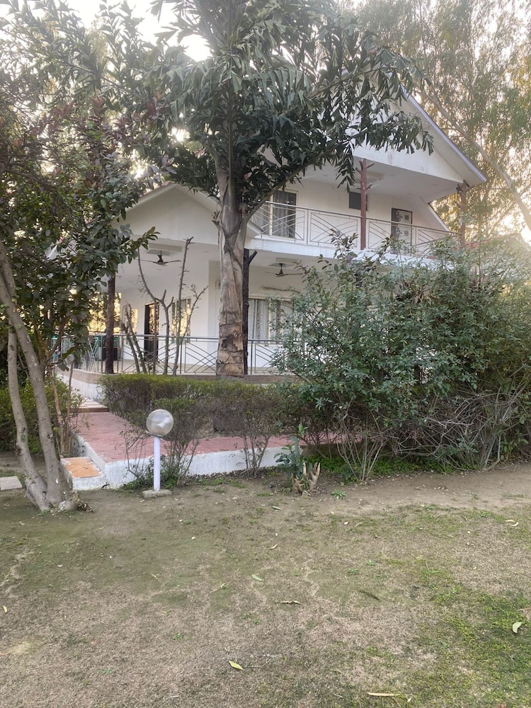 Photo 13