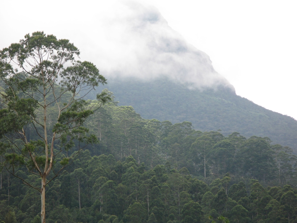 White House Adam's Peak