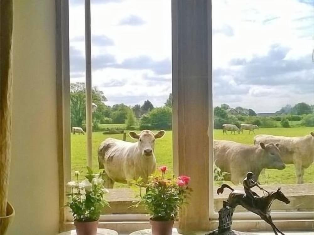 Battens Farm Cottages - B&B and Self-catering Accommodation