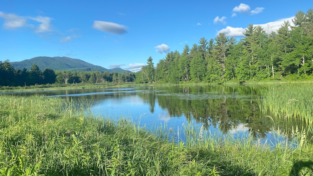 Whiteface Farm Adirondack Bed and Breakfast