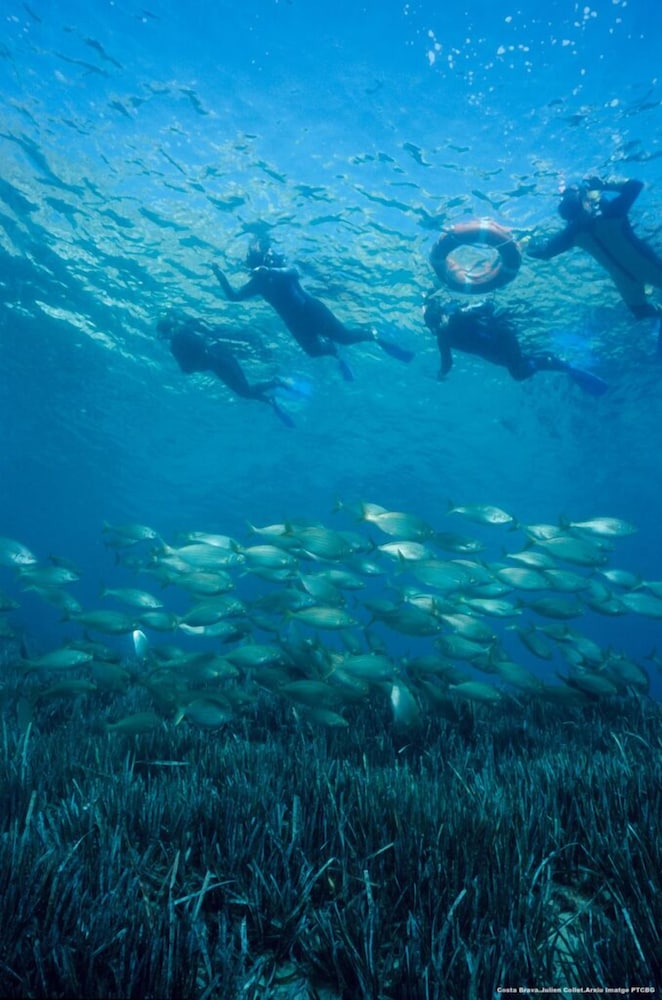 Can Muní - Pins