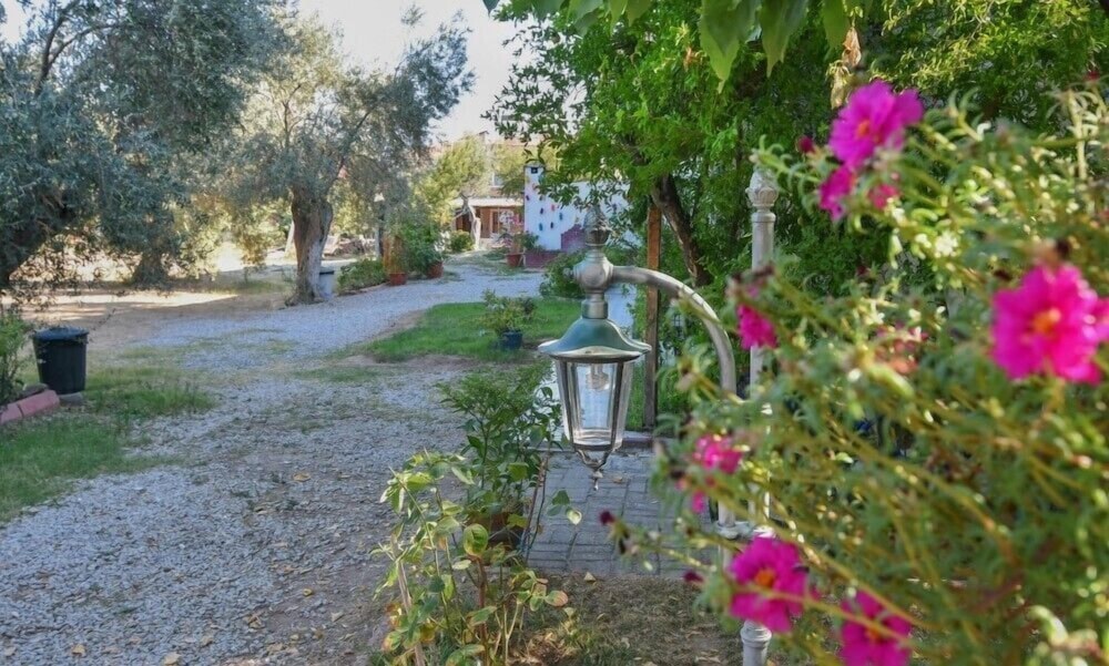 Photo 8
