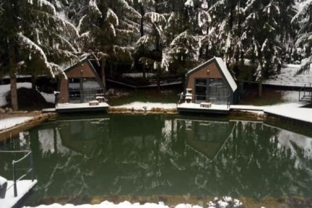 Holiday Home Snow Hill With Swimming Pool
