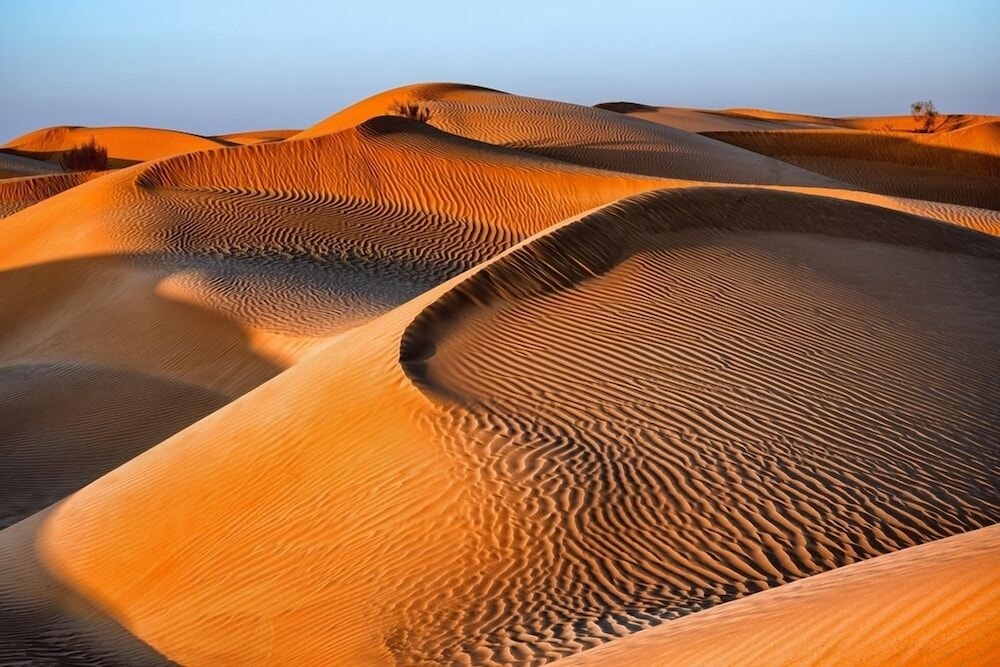Aldhafra Resort, Vignette Collection by IHG