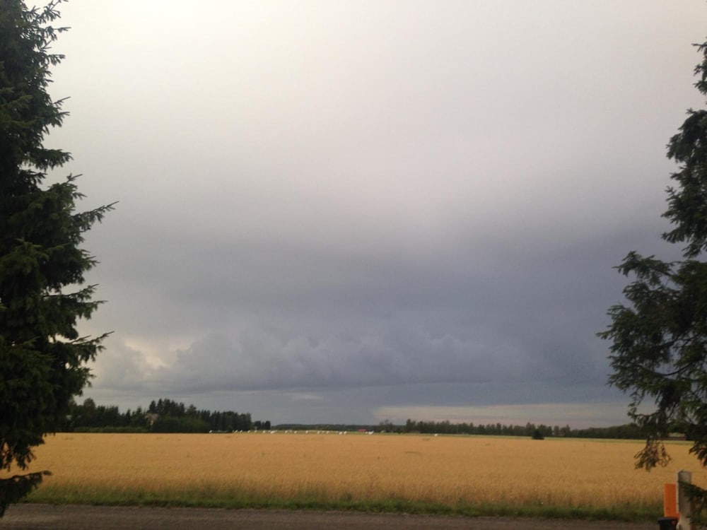 Photo 38