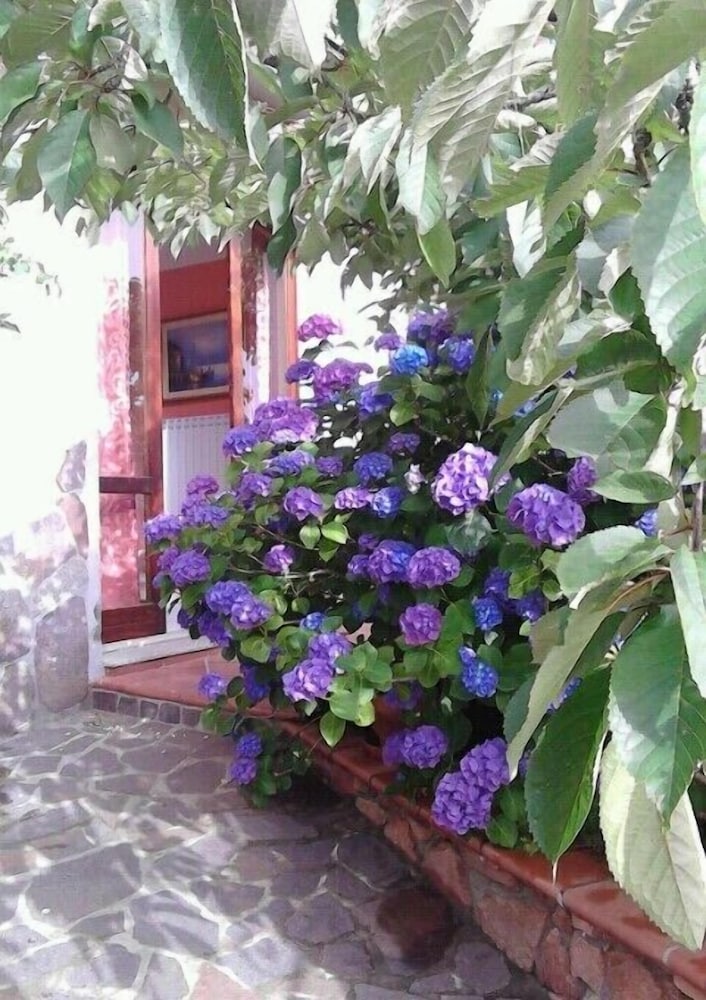 Photo 40