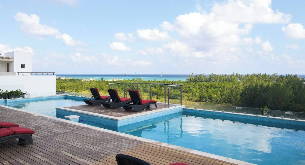 50 Suites Single King
