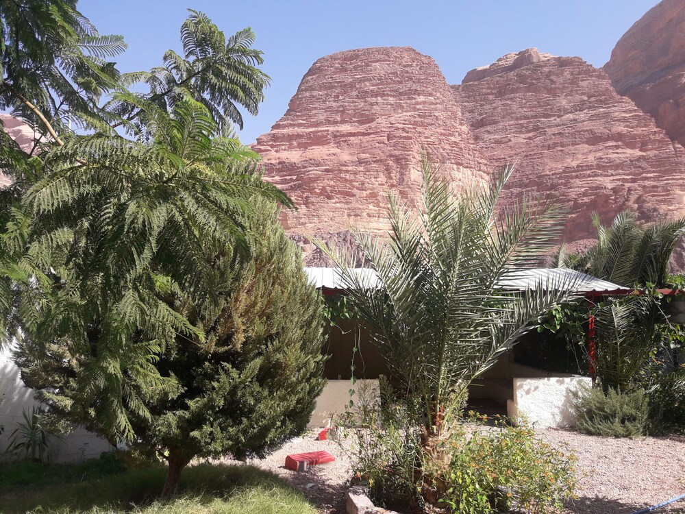 Photo 40