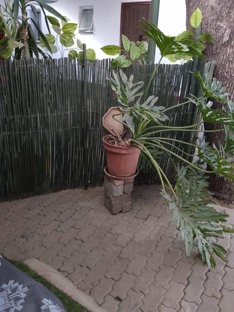 Onguti Guesthouse