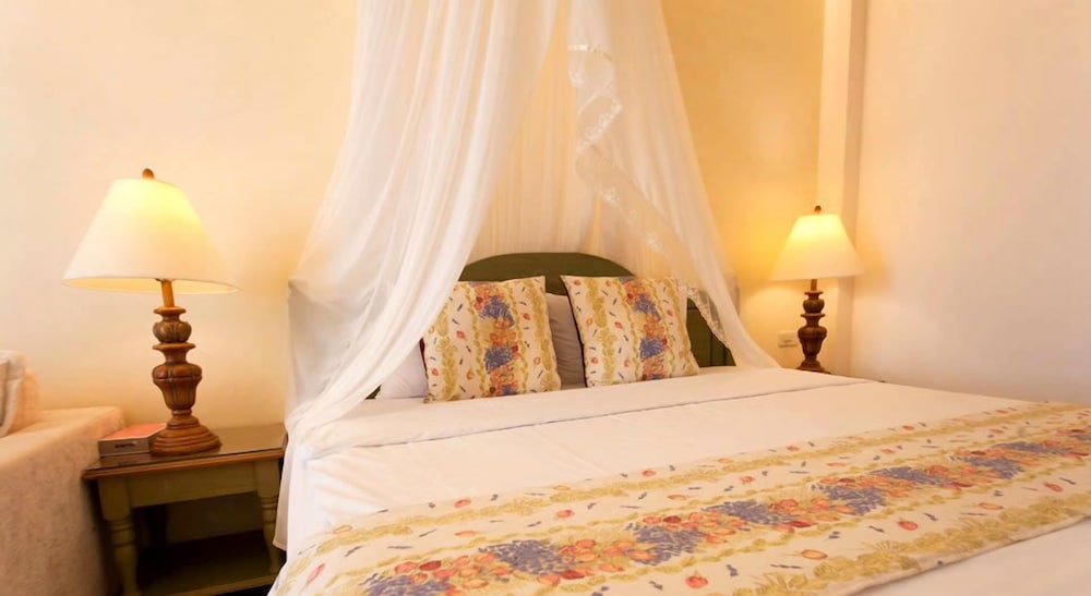 Avignon B&B