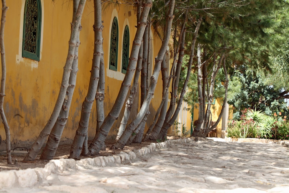 Villa Juba