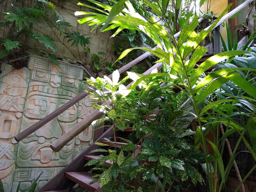 Casitas Kinsol