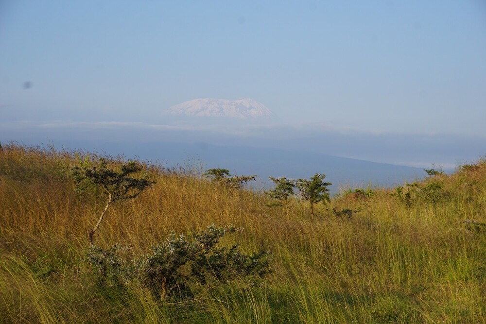 Osiligilai Maasai Lodge