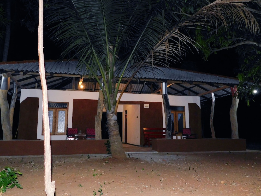 Yala Avian Eye Safari