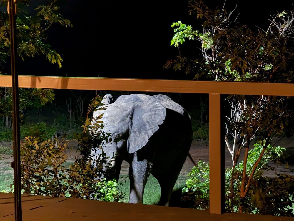Chamabondo Tented Camp