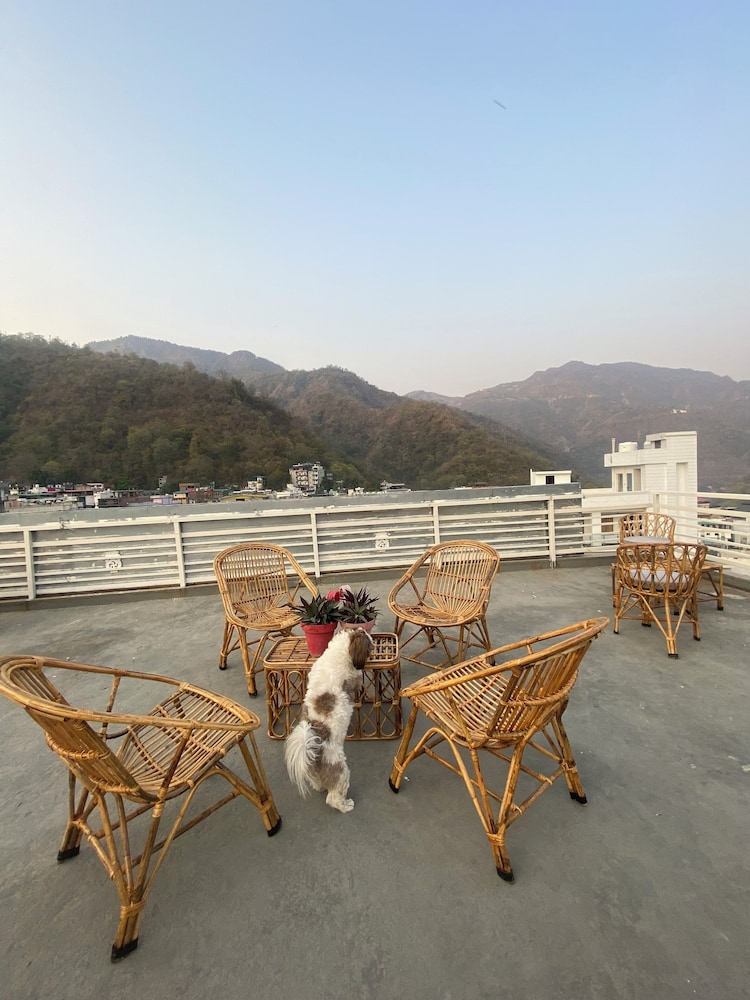 Bunk Hostel Rishikesh