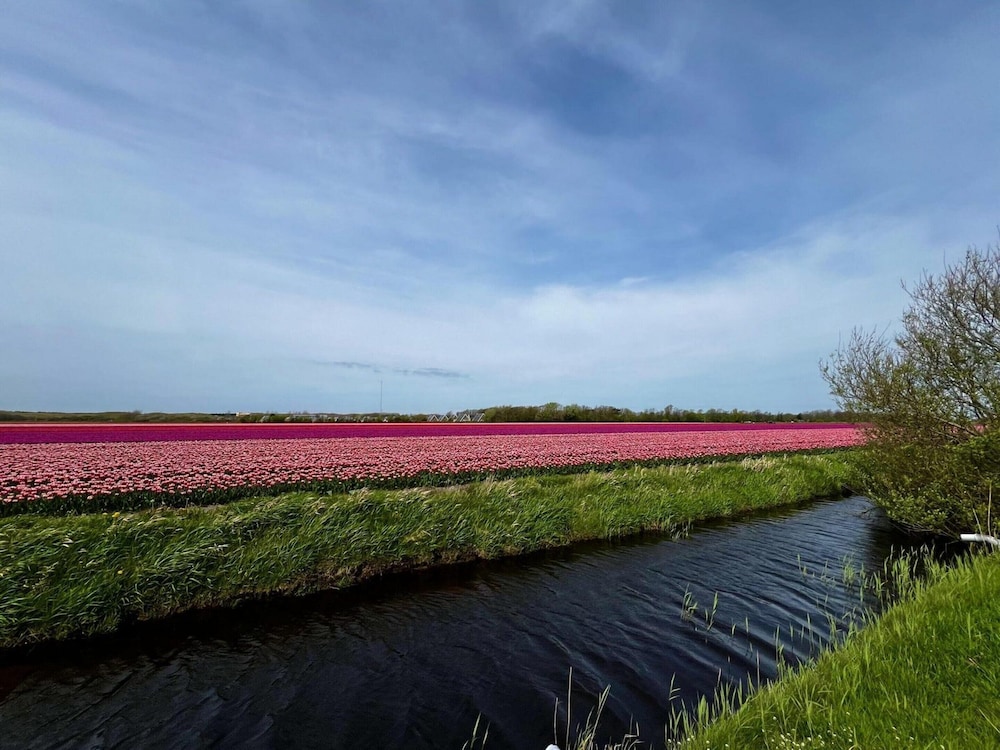 Beautiful Bungalow in North Holland
