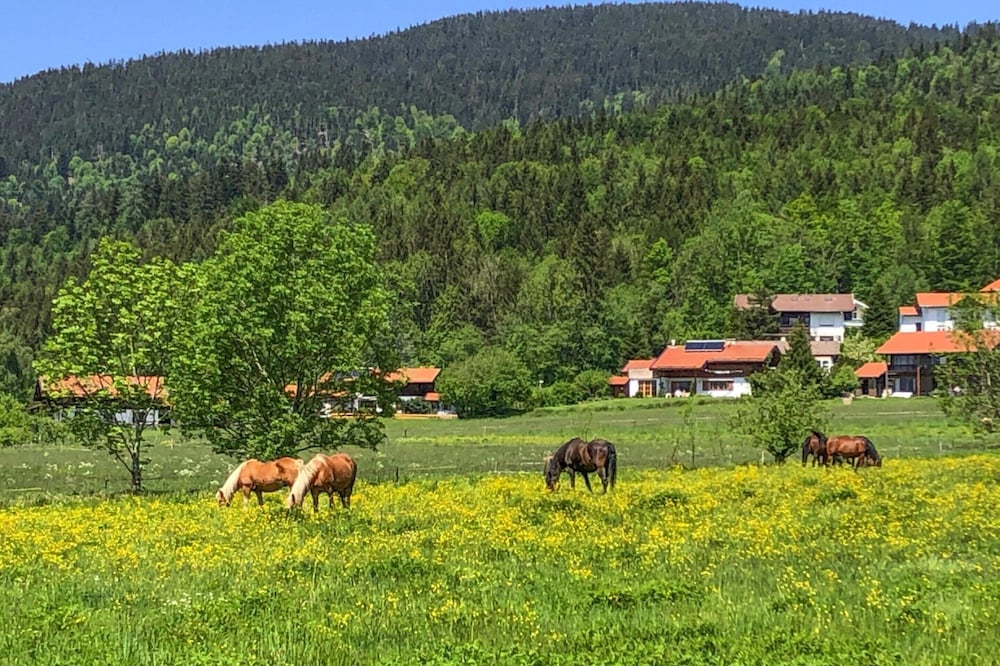 Chalet Chiemgau, Inzell