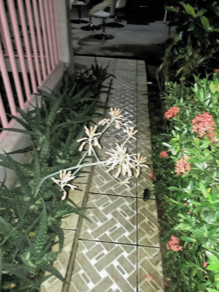 Arenal Volcano - Costa Rica Vacations - Sunset Inn Valle del Volcan - Property Image 43