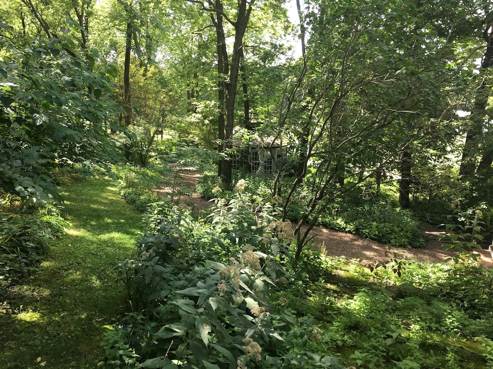 Photo 18