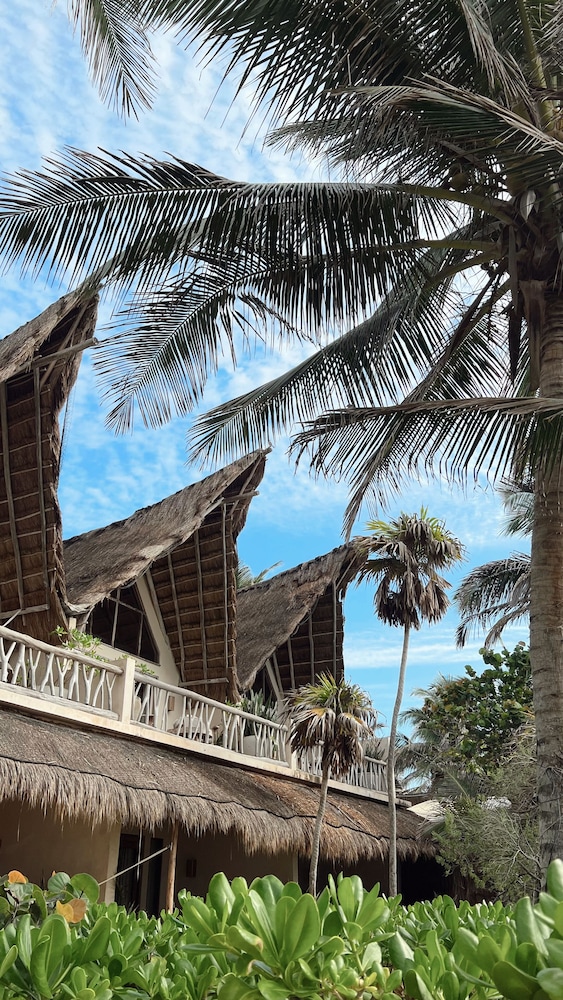 Ahau Beachfront Tulum Hotel 51